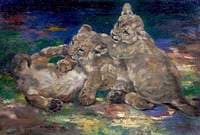 Lion Cubs