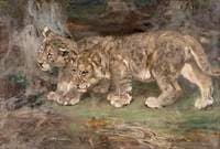 Lion Cubs, Suspicion