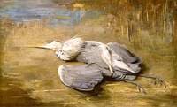 The Wounded Heron