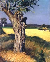 Tree in the Fields