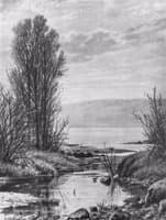The Lake Shore
