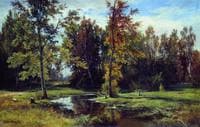 Birch Grove