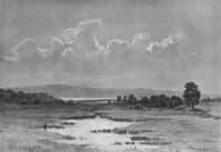 The Swamp