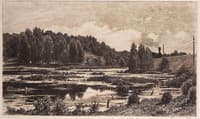 The Swamp