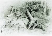 Windfall