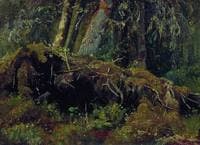 Windfall