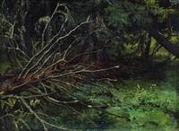 In the Forest