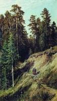 Returning from the Forest
