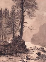 Mountain Stream