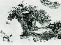 Trees and Rocks