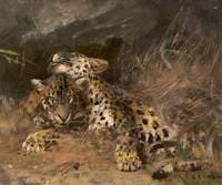 Leopard Cubs