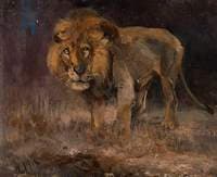 The Old Lion
