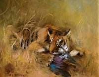 Tiger with Prey