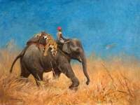 Elephant with Dead Tiger