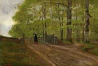 Forest landscape with woman