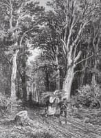 Path in the Woods
