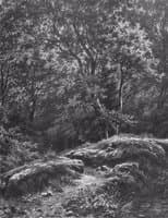 Path in the Woods