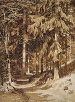 Path in the Woods