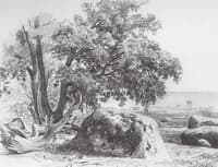 An Oak Tree on the Gulf of Finland