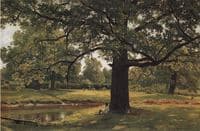 Oaks in Peterhof