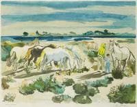 Paysage de Camargue