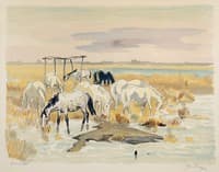 Horses in Camargue