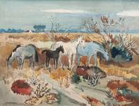 Horses in Camargue