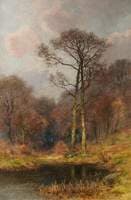 Woodland Pool