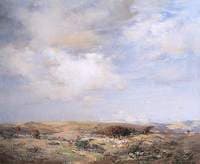 Drifting Clouds
