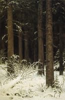 Forest in Winter