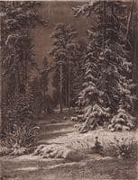 Moonlit Night in Winter