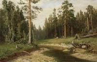 Forest