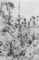 Crimean Landscape