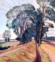 An Avenue of Elms
