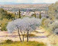 Olive Tree at Merindol