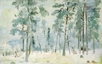 Forest in Winter