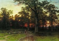 Evening in the Forest