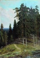 Forest on a Hill