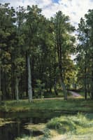 Forest Path
