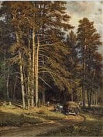 Forest Path