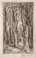 Forest Path