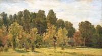 Forest Edge