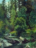 Forest Stream