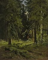 Wooded Landscape