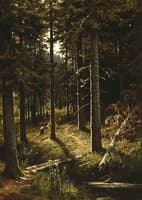 Wooded Landscape