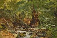 Wooded Landscape