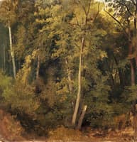 Wooded Landscape