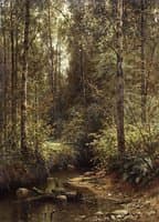 Forest Stream