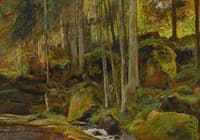 Forest Stream