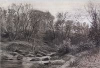 Woodland Brook